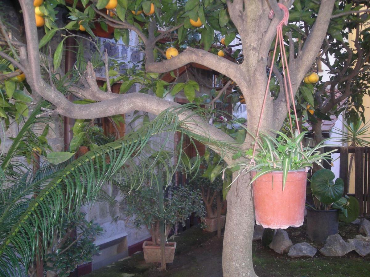 B&B L'Arcobaleno Sorrento Exterior foto