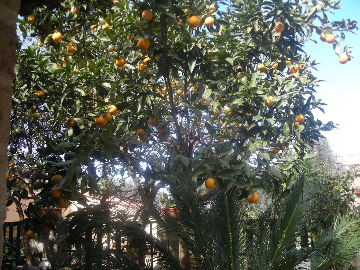 B&B L'Arcobaleno Sorrento Exterior foto
